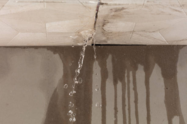Professional Water Damage Inspection technician working in Midland, MI